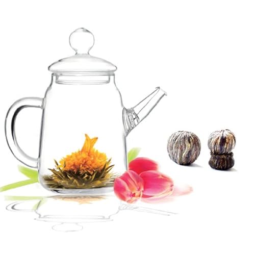 cool unique items related to Home & Kitchen list of amazon products that are Teapots, under $20, under $25