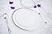 EDI 40 Pack Premium Disposable Plastic plates (20 Dinner + 20 Salad plates) White/Silver Rim (1)