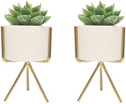Succulent Pots with Iron Rack Stand - Set of 2 - White Modern Decorative Ceramic Planter Pot with Drainage - Home Office Desk Garden Mini Cactus Pot Indoor Decoration (Golden-1)