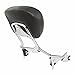 Chrome Harley Backrest Sissy Bar HD Street Glide FLHX 2009-2014 Detachable