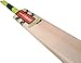 Gray-Nicolls Powerbow GN+ English Willow Cricket Bat, Full Size SH