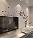 DecorSmart Plastic Trees and Birds 3D Wall Decals, 3110 (Red/Black)