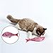 Qiekenao 2 Piece 2017 Catnip Toys Simulation Plush Snapper Fish Shape Doll Interactive Pets, Salmon and Red