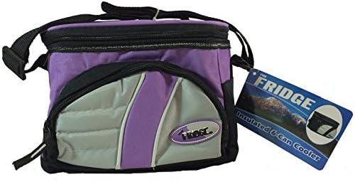 Fridge Insulated 6 Can Thermal Cooler Lunch Bag with Easy Clean Liner, Violet (9" x 6" x 7.25")