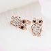 Charmed Craft Rose Gold Plated Cute Large Owl Wisdom Clear Crystal Stud Earrings Women Jewelry