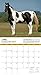 National Geographic Horses 2017 Wall Calendar
