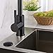 BESTILL Sink Top Garbage Disposal Air Switch Kit, Matte Black 3.6