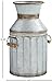 Amazon Brand – Stone & Beam Vintage Rustic Farmhouse Galvanized Metal Milk Jug Home Decor Planter Vase - 12.75 Inches, Grey