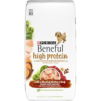 Amazon.com: Purina Beneful Natural, High Protein Dry Dog