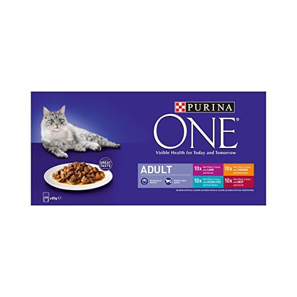 Purina-ONE-Cat-Food-Mini-Fillets-in-Gravy-40-x-85g Purina ONE Adult Cat Food Mini Fillets in Gravy, 40 x 85g
