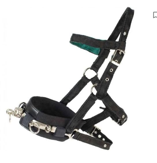 Equestrian - Horse/Pony Lunge Cavesson - Black (Small)