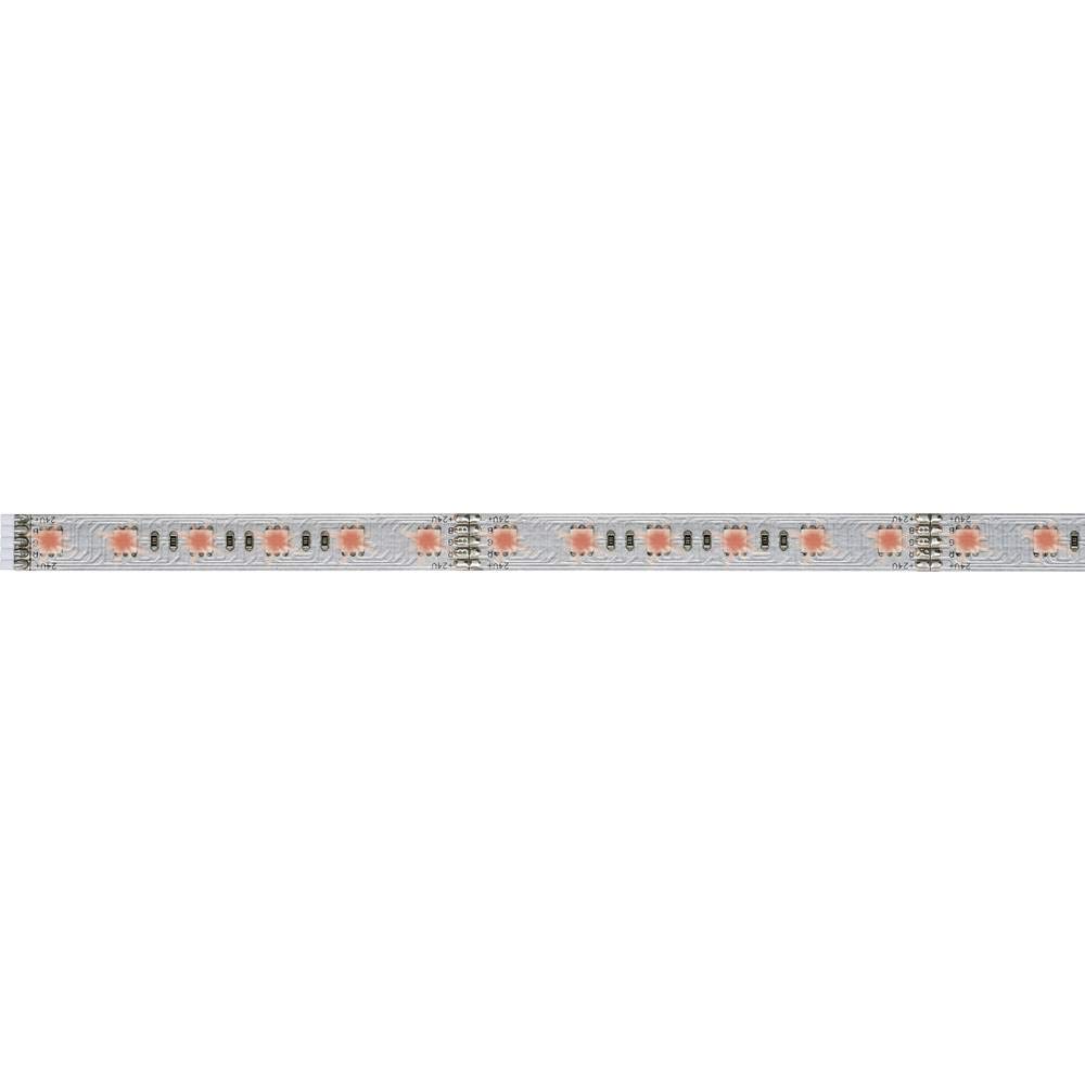 Paulmann 70570 MaxLED RGB Strip 1 m LED Strip uncoated with Colour-Change Function Lighting Strip 13.5W Light Strip 60 LED 24 V LED Strip