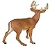 Safari Ltd. Whitetail Buck Figurine - Detailed 4.95