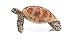 Schleich Sea Turtle Figure