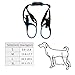 ROZKITCH Pet Dog Support Harness Rear Lifting Harness Veterinarian Approved for Old K9 Helps with Poor Stability, Joint Injuries Elderly and Arthritis ACL Rehabilitation Rehab S Blue