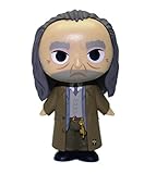 Funko Mystery Mini - Harry Potter [Series 3] - Argus Filch - 1/24 Rarity