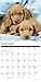 Just Dachshund Puppies 2020 Wall Calendar (Dog Breed Calendar)