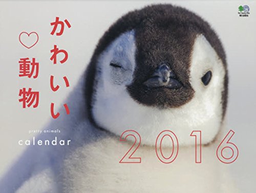 Amazon Co Jp かわいい動物カレンダー 16 カレンダー 文房具 オフィス用品 Amazon Co Jp かわいい動物カレンダー 16 カレンダー 文房具 オフィス用品