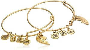 Friends bangle bracelet alex and ani