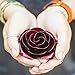 Personalized Gift Hand-Forged Wrought Iron Red Metal Rose - Valentine's Day Gift
