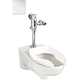 American Standard 3351.101.020 Afwall Millennium 1.1 - 1.6 gpf Elongated Toilet Bowl Only with EverClean