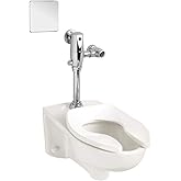 American Standard 3351.101.020 Afwall Millennium 1.1 - 1.6 gpf Elongated Toilet Bowl Only with EverClean, White, 15.00 x 14.0