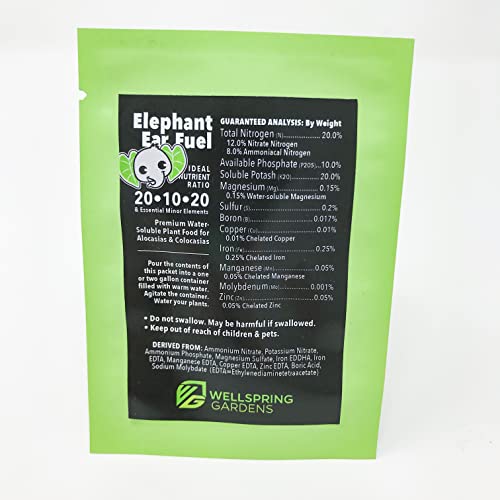 Black Beauty Elephant Ear Live Plant Colocasia antiquorum Pricepulse