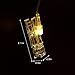 OASMU Christmas Decoration Style Clip String Light Dimmable 50 LED Photo Clips String Lights Dual Powered Choice Fairy Lights for Hanging Photos Pictures Cards Memos for Bedroom