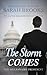 Billionaire Romance: The Storm Comes: An Alpha Billionaire Romance (The Billionaire President Book 2)