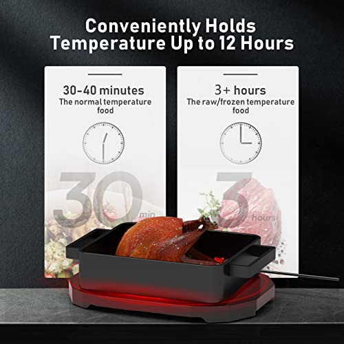 GOODFAITH Personal Portable Oven Food Warmer 110V Mini Oven Electric