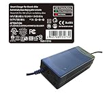 PowerTech Supplier Smart Charger for SONDORS 48V