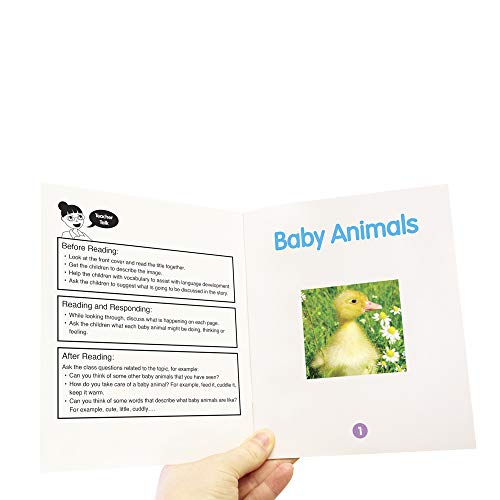 Junior Learning Fantail Books Lilac Non Fiction Educational Action Games