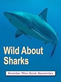 Wild About - Sharks