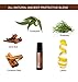 VitaJuwel Gemwater Bottle ViA - Wellness Personal Water Bottle Bundle with 4 Thieves Essential Oil Pre-Diluted Roll-On
