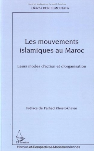 Download Les mouvements islamiques au Maroc : Leurs modes d'action et d'organisation (Histoire et perspectives méditerranéennes) PDF