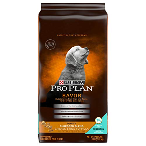 coffee grounds dog repellent