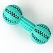 Bone Shape Dog Dental Toy Slow Eat Free BPA Rubber 2 Pack Playing Toy Balls for Dog