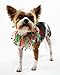 Midlee Christmas Jingle Bells Decorative Dog Collar (X-Large)