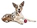 West Paw Zogoflex Air Boz Dog Toy – Floatable Pet Ball for Dogs, Fetch, Play, Chewing – Non-Toxic, Recyclable, Latex-Free Canine Toys – Durable Exterior Texture, Bouncy Squishy Ball, Large, Currant