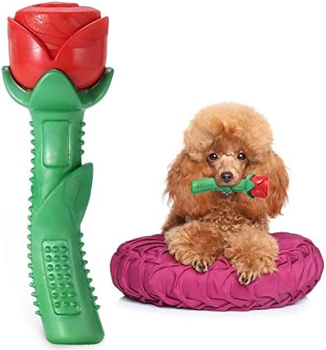 欠品カラー再入荷 ペットのおもちゃ かわいい耐摩耗咬傷の形状に損傷は 取るに簡単にスリップしません ペットぬいぐるみボーカルライオンワニのおもちゃ オンラインストア限定 Design Tours Com