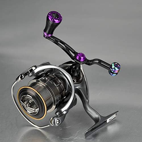 daiwa theory 2004