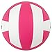 Baden Lexum Premium Composite Microfiber Indoor Official High School Game Volleyball 13U to 18U Official Size + Weight NFHS + AVCA Approved