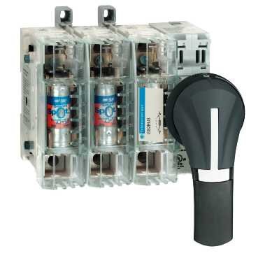 Schneider Electric gs2ah110 TeSys GS Half Rotating Outer Front, Gauge 30 A UL, Black