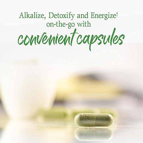 GARDEN OF LIFE PERFECT FOOD – RAW 240 CAPSULES [PACK OF 2]
