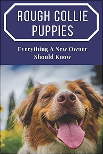 Rough Collie Puppies: Everything A New Owner Should Know: How To Train Your Dog  y[p[obN - 2021/8/10
