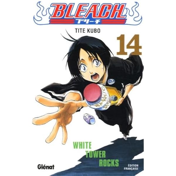 Amazon.com: Bleach - Tome 11: A star and a stray dog
