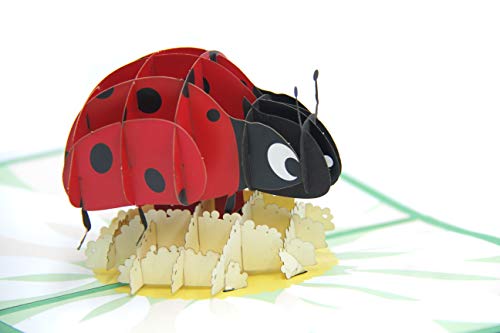 Ladybug 3D Paper Pop-up Greeting Card Holiday Gift