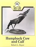 Humpback Cow (Carving Sea Life) by 