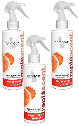 Isle of Dogs 3 Pack of Odor Neutralizing Spray, 8 Ounces Each (Sugar Cane + Grapefruit)