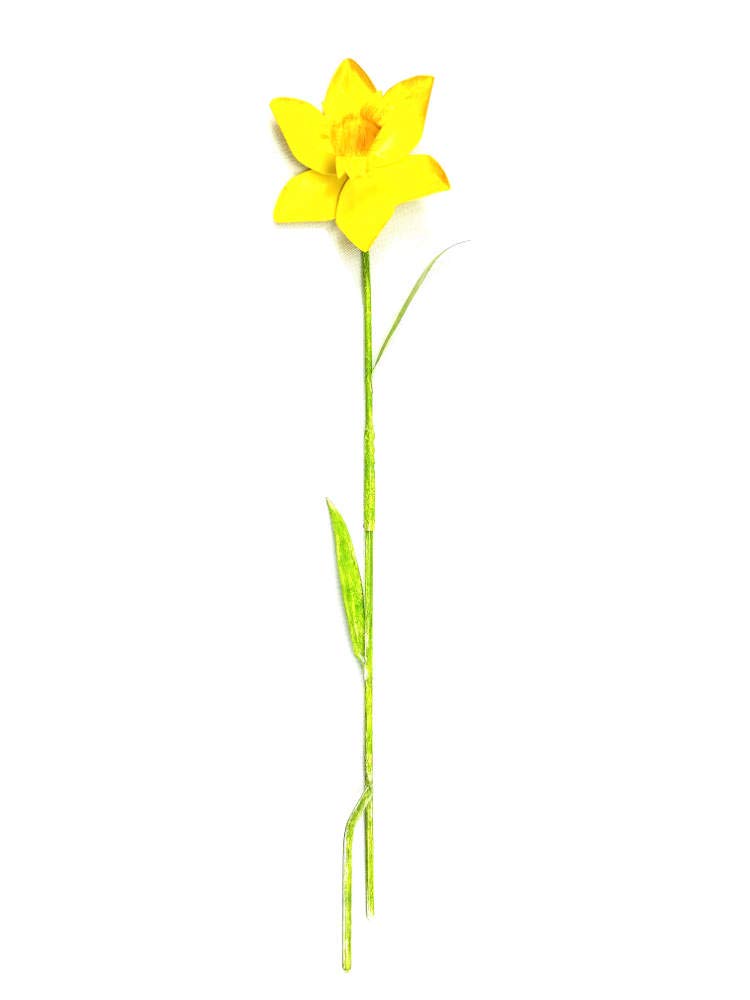 BWA Small Daffodil Flower - Freestanding Metal Garden Stake/Pole